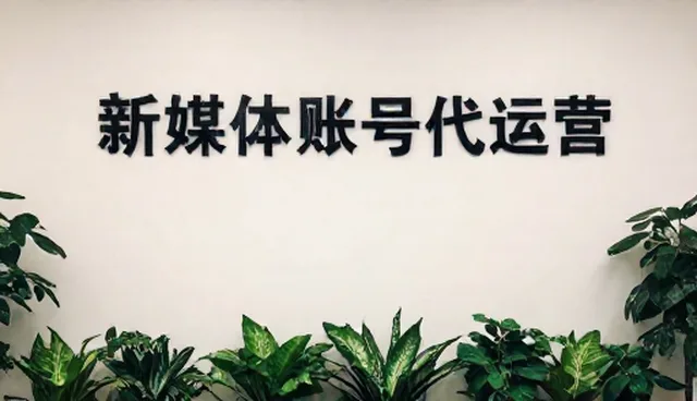 平面设计内容规划的适用条件与选择依据